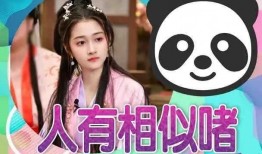 吃瓜最新事件爆料无广告视频,最新事件无广告视频深度解析